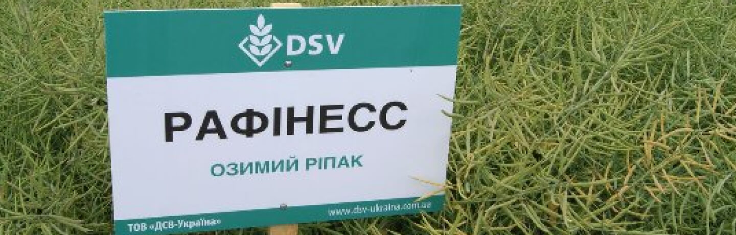 banner-item