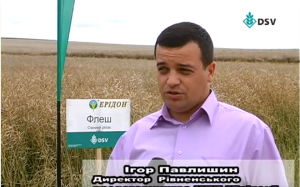 videos-preview