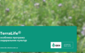 videos-preview
